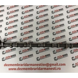 Ax cu came MAN TGX / Arbore cu came